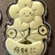 盆栽有钱花 
