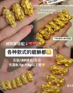 【3D硬金】吸金貔貅（热卖款）