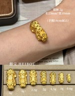 【3D硬金】吸金貔貅（热卖款）