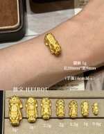 【3D硬金】吸金貔貅（热卖款）