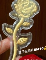 【KL现货】玫瑰花/康乃馨-单花束金钞
